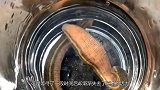 水蛭放入56度二锅头中，场面瞬间失控，镜头记录下全过程