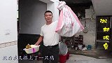 听说榴莲壳炖鸡好吃！为了不浪费榴莲壳，我又搭上了一只鸡！
