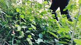 四川方言搞笑视频，小伙寻找世外高人，经过长途跋涉终于到了