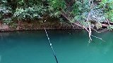 钓鱼：钓大鲶鱼，要有大力气