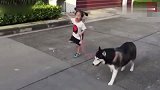 铲屎们你们瞧瞧人家小女孩是怎么做，画面多和谐