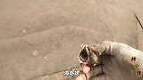 自己抓的海螺就是鲜，煮30个不够吃，家住海边餐桌每天有海鲜