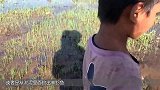 农村小伙在地里干活，掀开石板的那一刻，发现了许多大鲶鱼