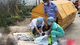 东莞警方通报垃圾桶弃婴案：婴儿父母协商后遗弃 男方已被刑拘