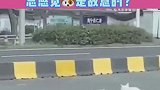 狗子拉萌娃过马路，结果翻车了，咋总感觉狗子故意的？