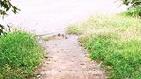 老旧小区升级改造扫街日志