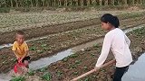 孩子放暑假帮家里浇菜，玩了水，还干了活