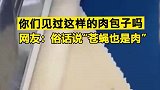 你们见过这样的肉包子吗？网友：俗话说苍蝇也是肉