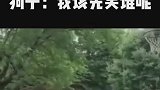 小小的家里，居然藏了卧龙凤雏两位！狗狗：怎么办，我该先笑谁