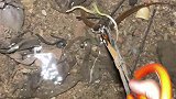 户外炮哥