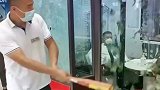 砸碎送房子，棍子200一根！