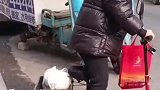 正宗新能源车