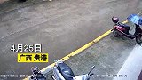 一只鸟撞向店铺柜台，老板配文“安全驾驶”，网友：有被内涵到