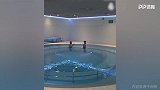 阿森西奥水下行走复健 开始慢慢恢复第一步