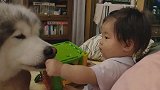 从公主手上吃东西是个技术活