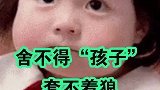 舍不得孩子套不着狼？