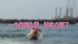 住海边就是好，海鲜自给自足！