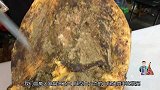 身披绿霉的3年老火腿，骨头边的香味扑鼻而来，龙哥都嘴馋了