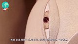 放生池放了上百年怎么从来放不满？抽干水后，下一幕让人意外