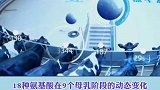 中国飞鹤突破三项重大研究成果