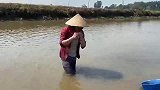 摸田螺捡来的收音机，扔了怪可惜的，翻新一下送给老爷用