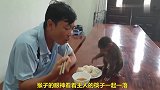 主人吃饭小猴子在看，那着急又想吃的表情，太萌了