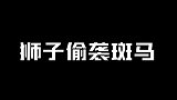 狮子偷袭斑马，不料下一秒竟遭到疯狂报复，直接把狮子踢成残废