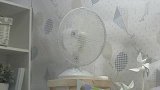 瑞奇宝宝：宝宝们自己制作小屋，真是厉害，大家快来看