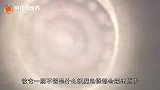 照妖镜真实存在，专家从西安古墓中出土，揭露照妖镜秘密