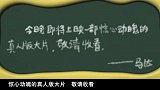虫虫计划：马达救过皮筋，但皮筋支持钻石，皮筋真是好跟班