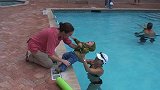小宝宝进行自救式游泳训练，浮在水面一脸抗拒