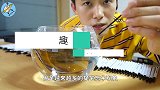 把100根圆珠笔芯放入水中，会发生什么结果颠覆认知