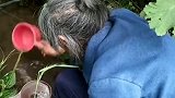 老人山里缺水交不起水费，每次走十几里山路到这里取水！