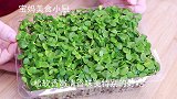 香椿苗还是这样做最好吃，做法简单，营养不流失，大人孩子都爱吃