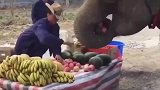 你这吃完还得喷出来