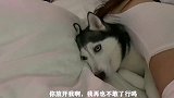 今天不是比赛的事，是面子的问题，索性我就不露脸了