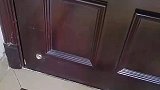 隔壁家的猫走错门了，一脸懵逼的表情太逗趣了