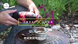 老外将2000磅干冰丢入泳池，打造避暑山庄，网友：还缺朋友吗