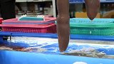 5000韩元买了长得像大肠一样的鱼，韩国大肠做成顶级料理