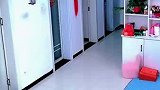 男子买甘蔗回家吃，却因此得罪老婆