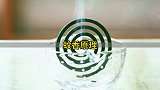 蚊香的工作原理到底是怎么样的，蚊子是被熏死还是熏晕了