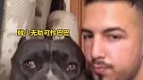 我想问问啥口感，什么味道