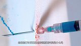 用麻醉镖给动物打针的原理是啥？慢镜头还原全程，解开多年困惑！