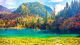 秋季最完美的三处旅行胜地，拥有无限风光，你最向往的是哪里呢？