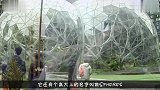 亚马逊耗费40亿美元打造总部，建成后就是三颗球，厉害了我的球
