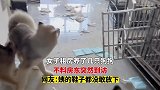 女子租房养了几只狗狗，不料房东突然到访