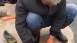 村里一早一晚的热闹场景太有烟火气了