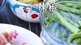 五花肉炖茄子土豆加豆角，菜吃完了盘子都想舔干净