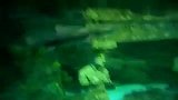 旅游-鲨鱼母子游