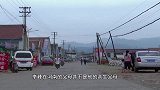 男子被收养长大，成天被养父母催婚，他直言找到亲生父母才结婚！